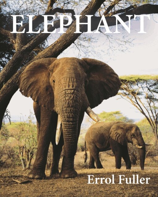 Errol Fuller - Elephant, E-bok
