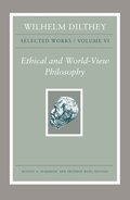 Wilhelm Dilthey: Selected Works, Volume VI