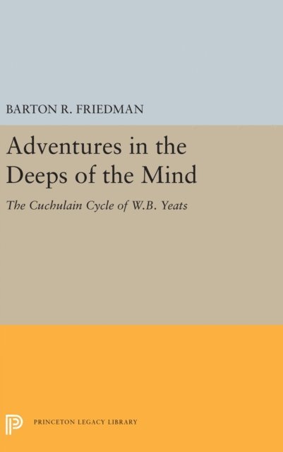 Barton R. Friedman - Adventures in the Deeps of the Mind, E-bok