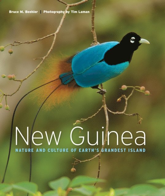Tim Laman, Bruce M. Beehler - New Guinea, E-bok