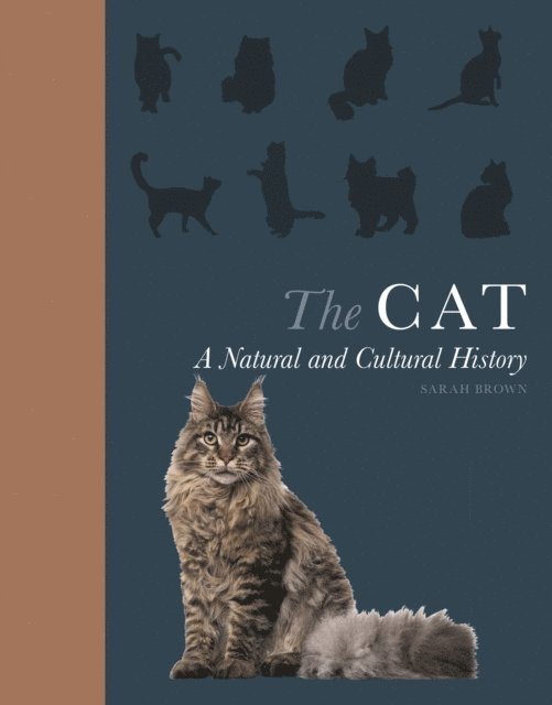 Sarah Brown - Cat, E-bok. Tillgänglighet: Lägg i varukorg