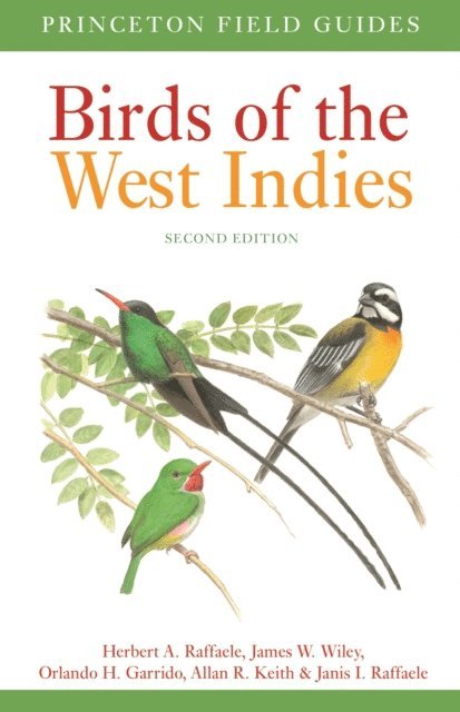 Janis I. Raffaele, Allan Keith, Orlando H. Garrido, James Wiley, Herbert A. Raffaele - Birds of the West Indies Second Edition, E-bok
