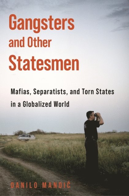 Danilo Mandic - Gangsters and Other Statesmen, E-bok