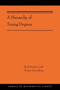 Hierarchy of Turing Degrees