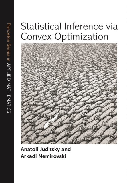 Arkadi Nemirovski, Anatoli Juditsky - Statistical Inference via Convex Optimization, E-bok