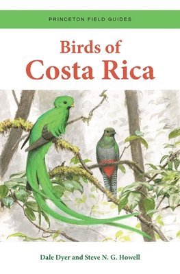 Birds of Costa Rica av Dale Dyer, Steve N G Howell, Steve N G Howell