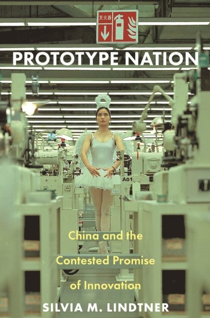 Silvia M. Lindtner - Prototype Nation, E-bok