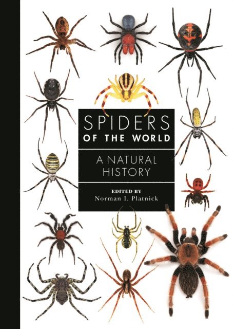 Norman I. Platnick - Spiders of the World, E-bok