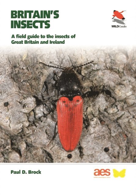 Paul D. Brock - Britain's Insects, E-bok