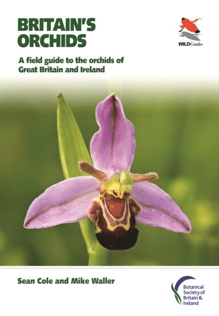 Mike Waller, Sean Cole - Britain's Orchids, E-bok