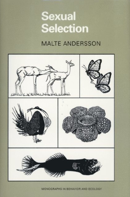 Malte Andersson - Sexual Selection, E-bok