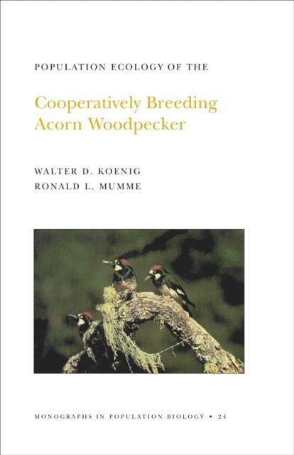 Ronald L. Mumme, Walter D. Koenig - Population Ecology of the Cooperatively Breeding Acorn Woodpecker, E-bok