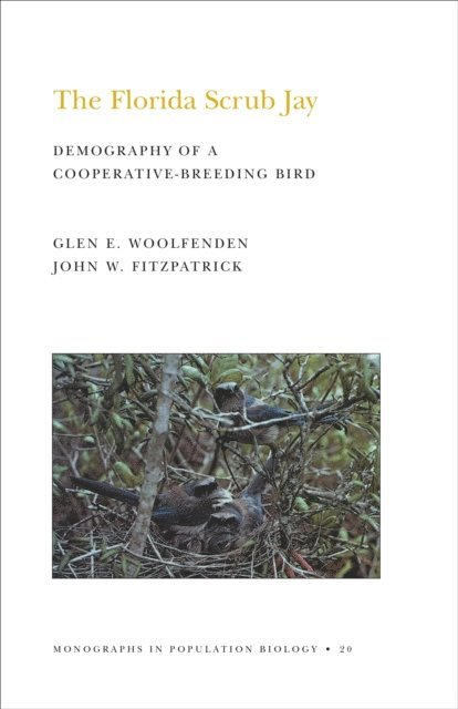 John W. Fitzpatrick, Glen Everett Woolfenden - Florida Scrub Jay, E-bok
