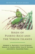 Birds of Puerto Rico and the Virgin Islands