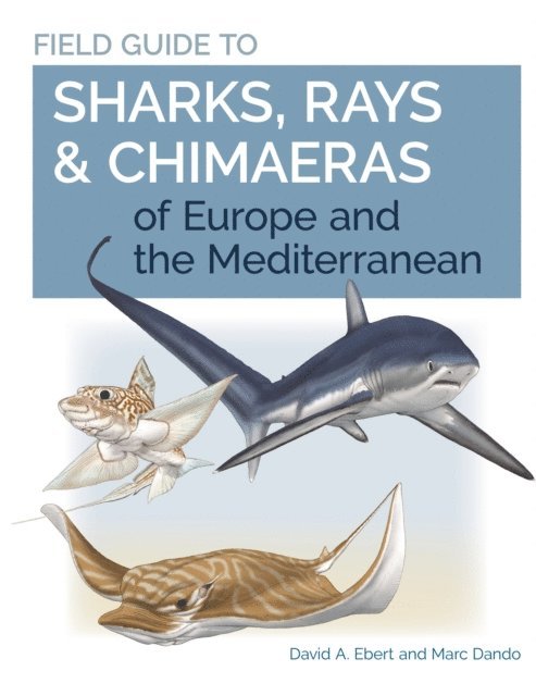 Marc Dando, David A. Ebert - Field Guide to Sharks, Rays & Chimaeras of Europe and the Mediterranean, E-bok