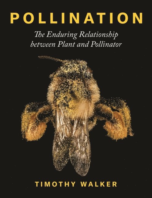 Timothy Walker - Pollination, E-bok