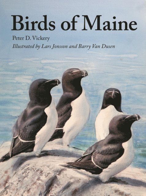 William J. Sheehan, Jeffrey V. Wells, Charles D. Duncan, Peter D. Vickery, Barbara Vickery, Scott Weidensaul - Birds of Maine, E-bok