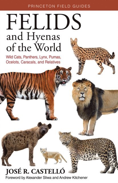 Jose R. Castello - Felids and Hyenas of the World, E-bok