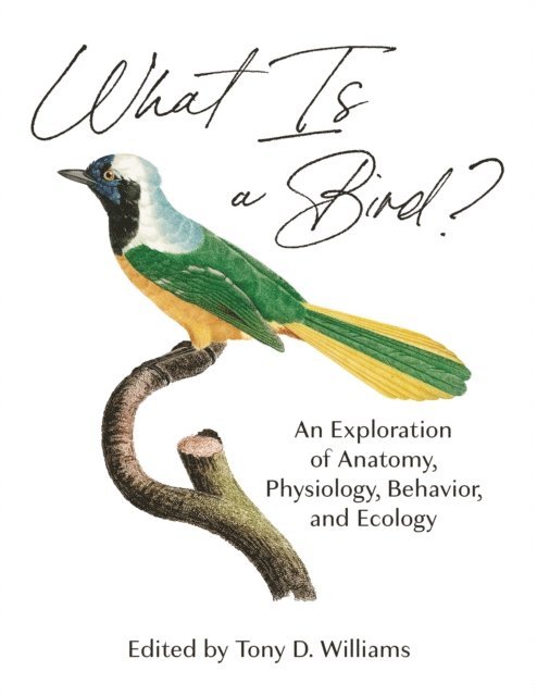 Tony D. Williams - What Is a Bird?, E-bok