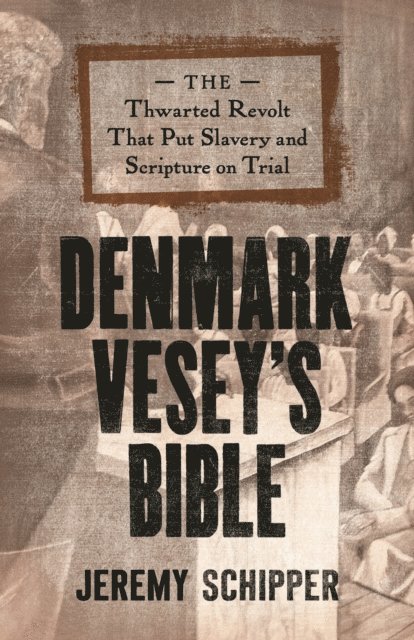 Jeremy Schipper - Denmark Vesey's Bible, E-bok