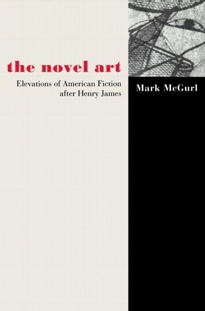Mark McGurl - Novel Art, E-bok