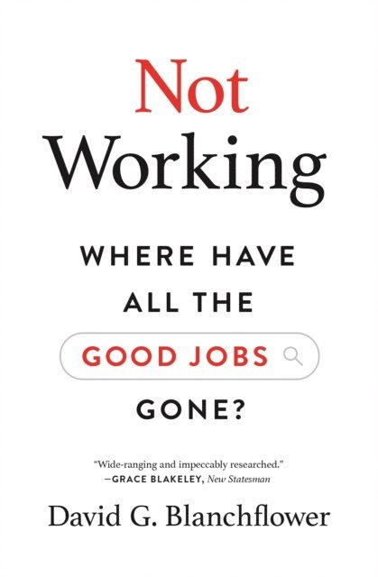 David G. Blanchflower - Not Working, E-bok