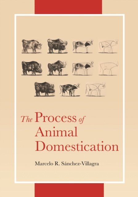 Marcelo Sanchez-Villagra - Process of Animal Domestication, E-bok. Tillgänglighet: Lägg i varukorg