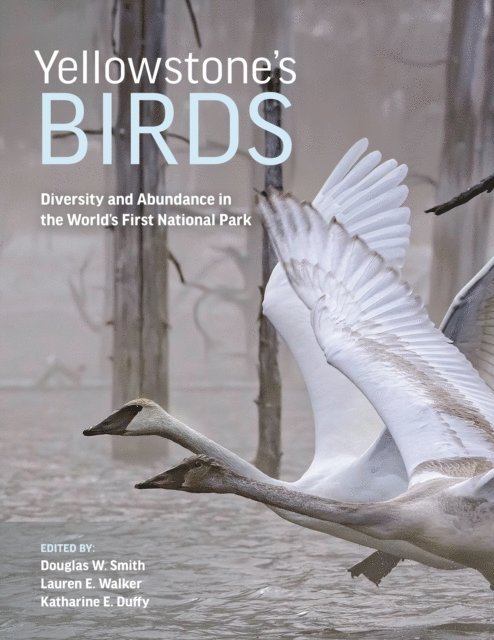 Katharine E. Duffy, Lauren E. Walker, Douglas W. Smith - Yellowstone's Birds, E-bok