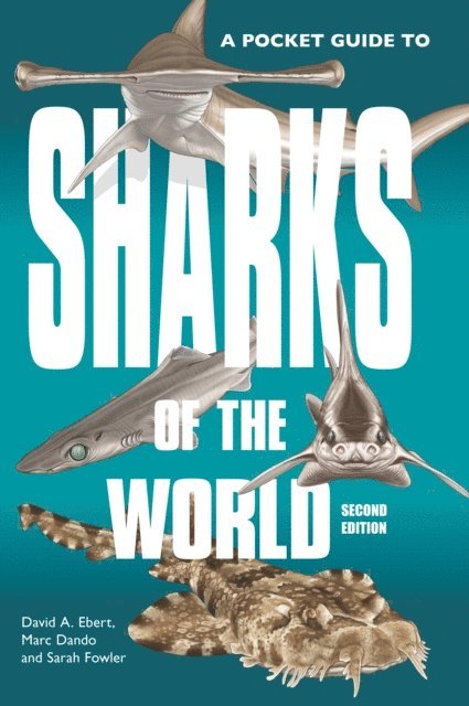 Sarah Fowler, Marc Dando, David A. Ebert - Pocket Guide to Sharks of the World, E-bok