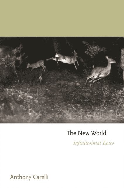 Anthony Carelli - New World, E-bok