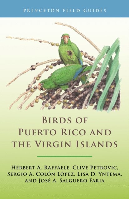 Jose A. Salguero Faria, Lisa D. Yntema, Sergio A. Colon Lopez, Clive Petrovic, Herbert A. Raffaele - Birds of Puerto Rico and the Virgin Islands, E-bok