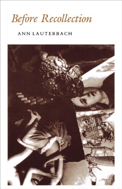 Ann Lauterbach - Before Recollection, E-bok