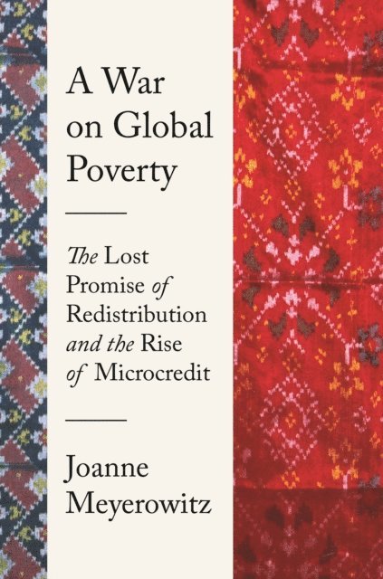 Joanne Meyerowitz - War on Global Poverty, E-bok