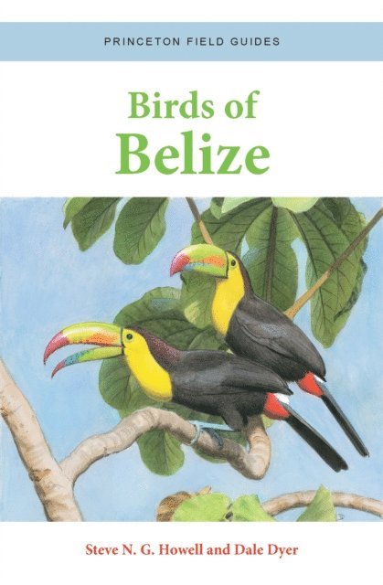 Dale Dyer, Steve N. G. Howell - Birds of Belize, E-bok