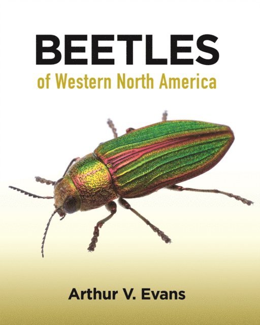 Arthur V. Evans - Beetles of Western North America, E-bok