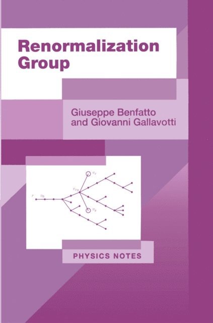 Giovanni Gallavotti, Giuseppe Benfatto - Renormalization Group, E-bok