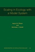 Scaling in Ecology with a Model System