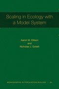 Scaling in Ecology with a Model System