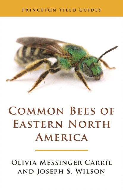 Joseph S. Wilson, Olivia Messinger Carril - Common Bees of Eastern North America, E-bok