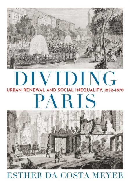 Esther da Costa Meyer - Dividing Paris, E-bok