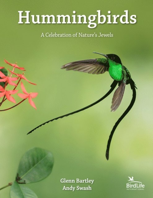 Andy Swash, Glenn Bartley - Hummingbirds, E-bok