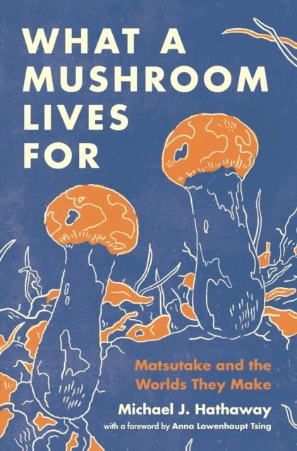 Michael J. Hathaway - What a Mushroom Lives For, E-bok