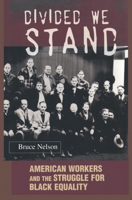 Bruce Nelson - Divided We Stand, E-bok