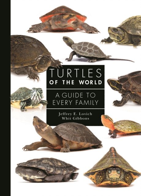 Whit Gibbons, Jeffrey Lovich - Turtles of the World, E-bok