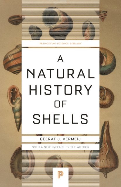 Geerat Vermeij - Natural History of Shells, E-bok
