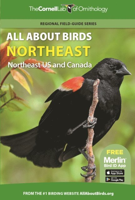 Cornell Lab of Ornithology - All About Birds Northeast, E-bok