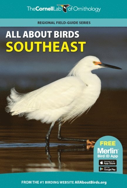 Cornell Lab of Ornithology - All About Birds Southeast, E-bok