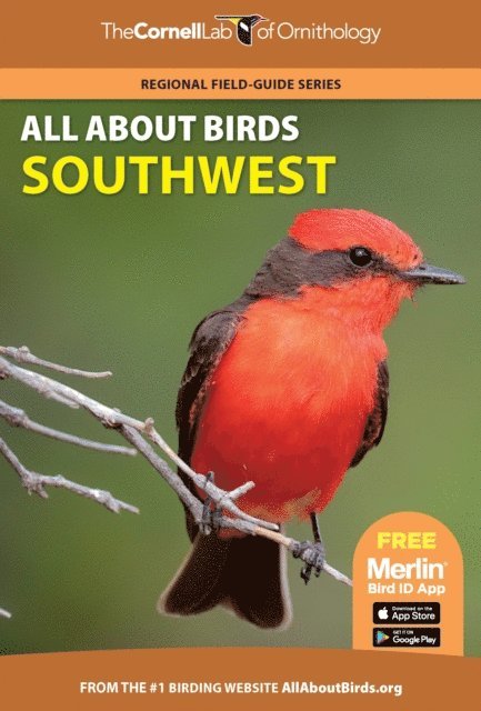 Cornell Lab of Ornithology - All About Birds Southwest, E-bok