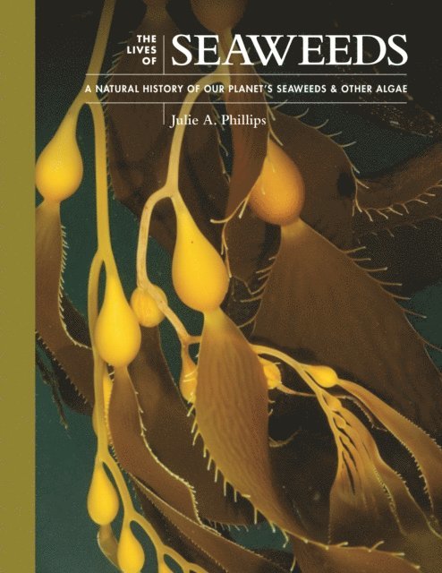 Julie A. Phillips - Lives of Seaweeds, E-bok