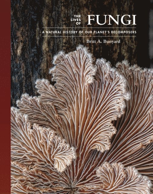 Britt A. Bunyard - Lives of Fungi, E-bok